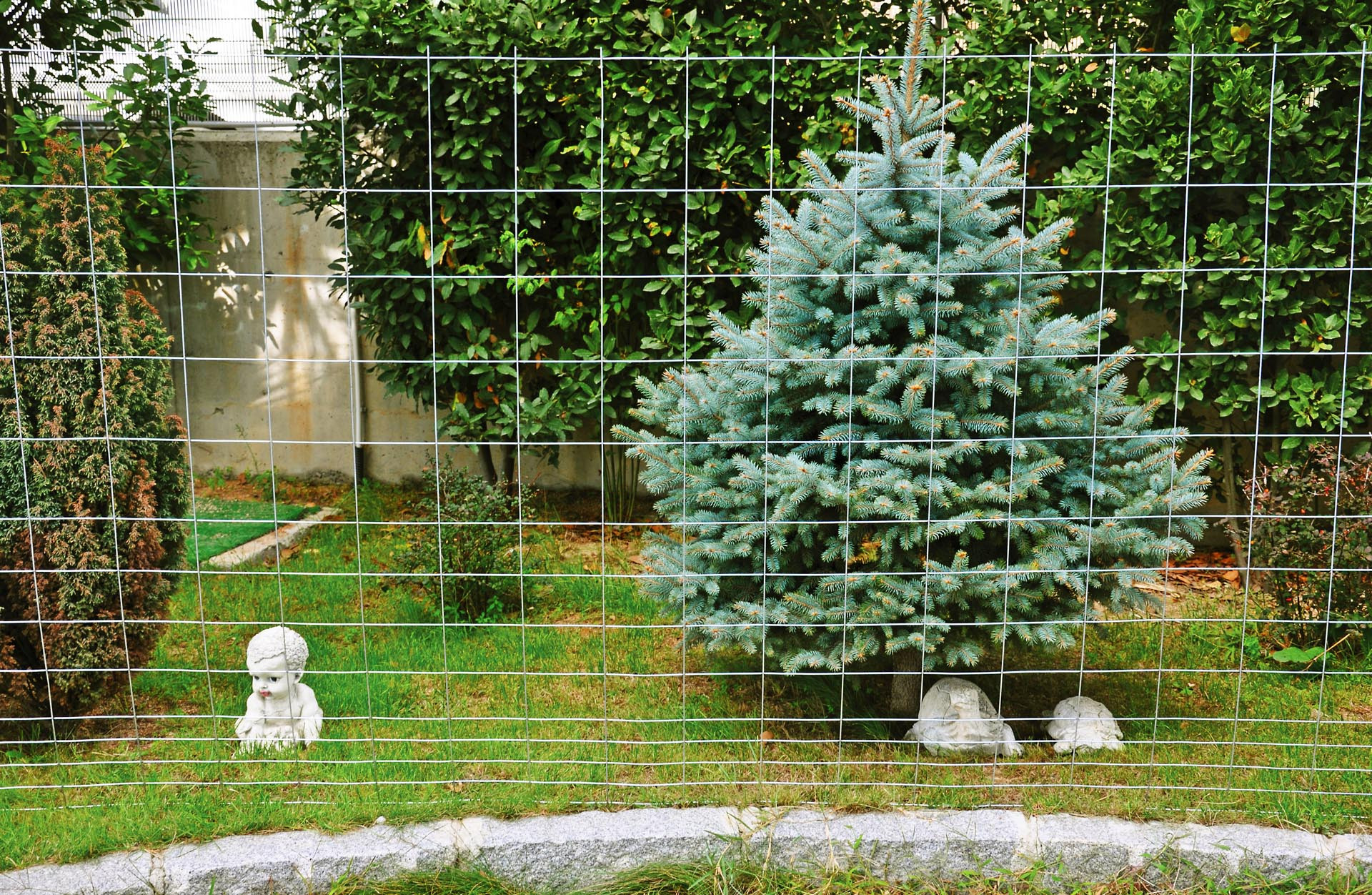 Animal Kaynaklı Tel