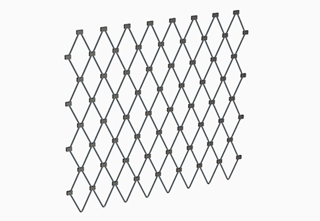 Steel Wire Mesh